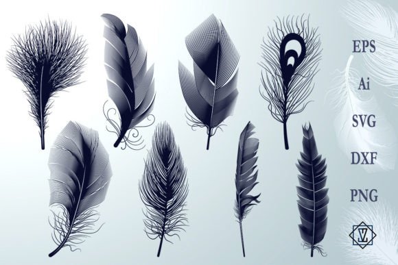 Bundle Feathers Silhouettes SVG Review