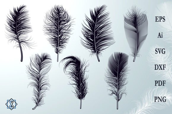 Bundle Fluffy Feathers Silhouettes SVG Review