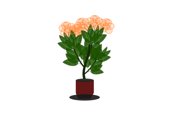 Flower Pot Plant Decorations: Graphics & Illustrations Review
