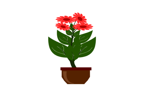 Flower Pot Plant Graphics & Illustrations Review